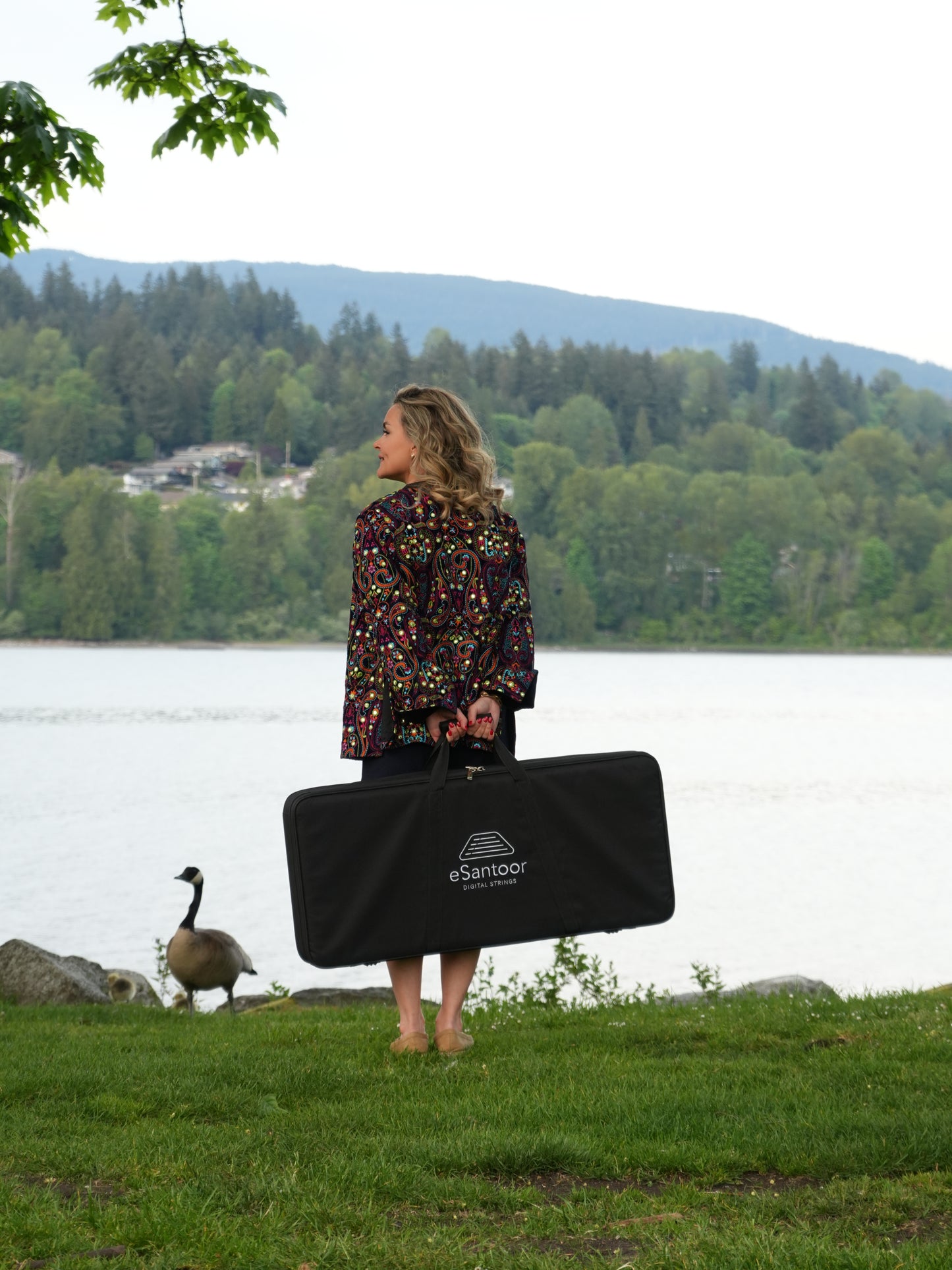 eSantoor Carrying Case5