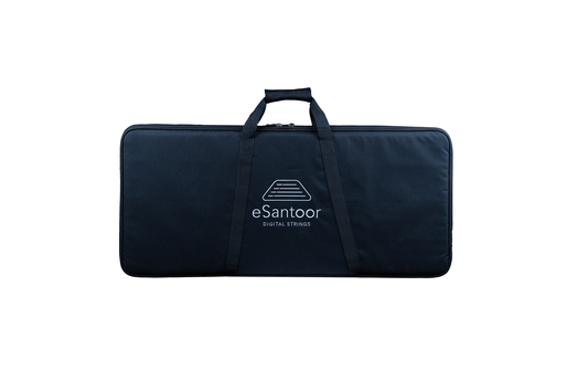 eSantoor Carrying Case1