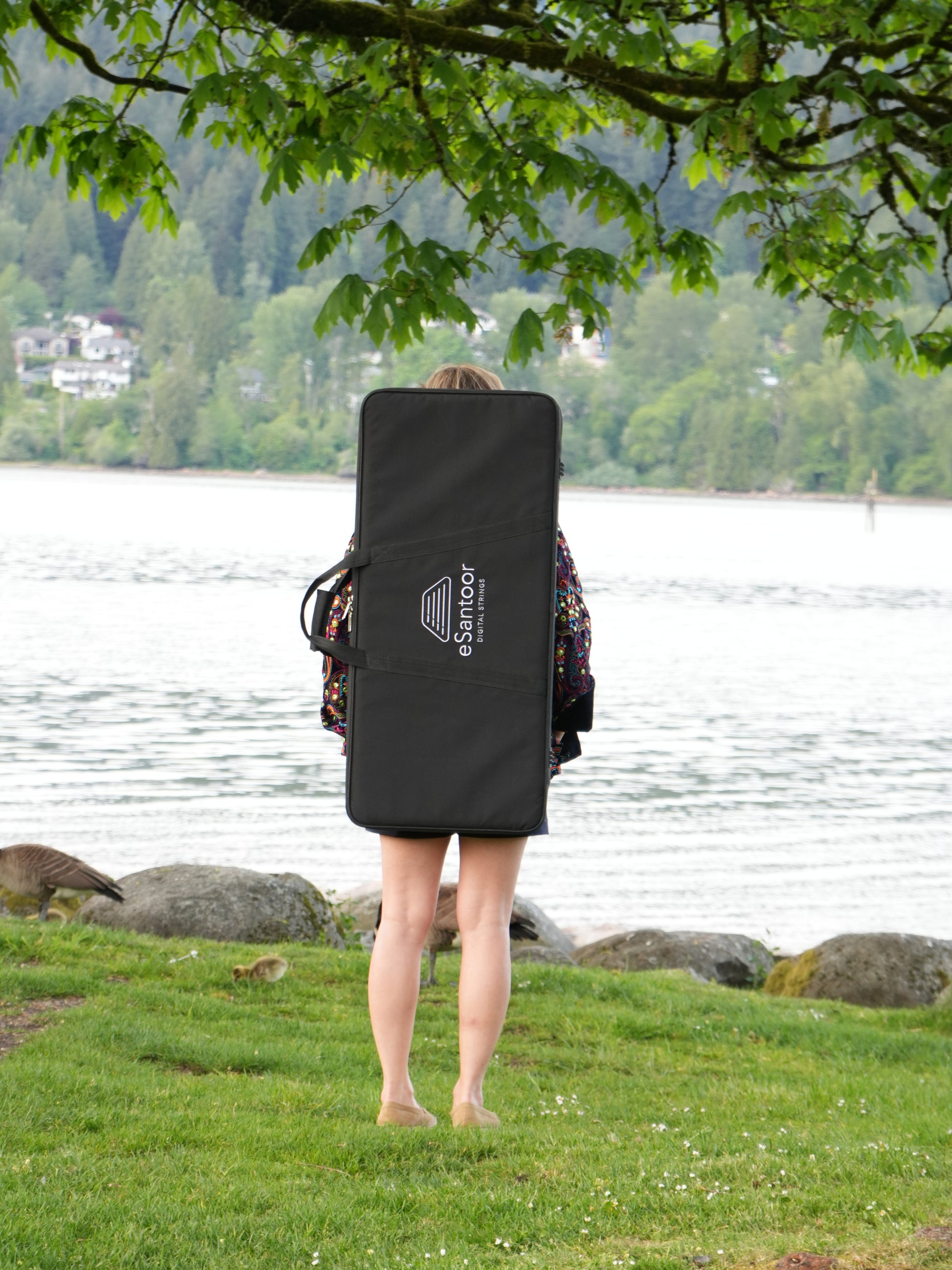 eSantoor Carrying Case6